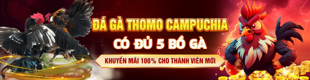 Bj38 baner