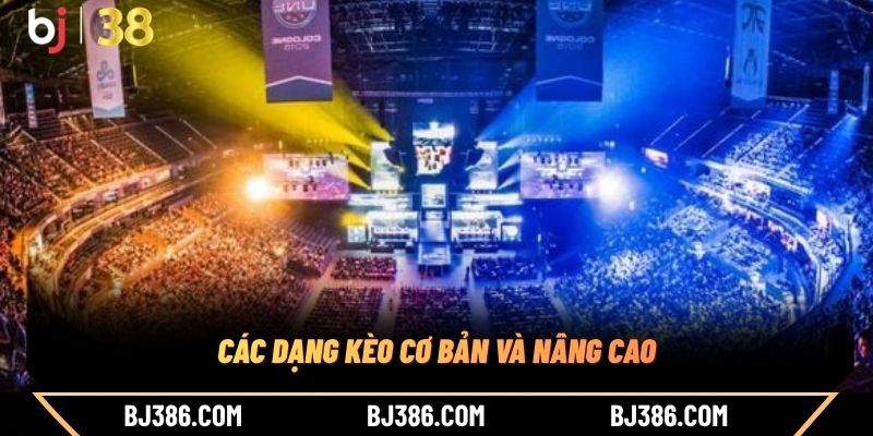 Các dạng kèo cơ bản và nâng cao