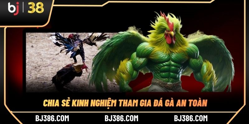 Chia sẻ kinh nghiệm tham gia đá gà an toàn
