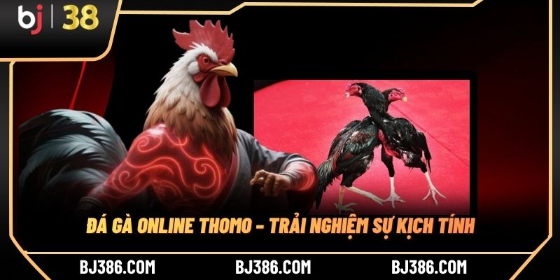 Đá gà online Thomo – Trải nghiệm sự kịch tính