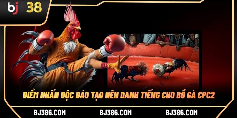 Điểm nhấn độc đáo tạo nên danh tiếng cho bồ gà CPC2