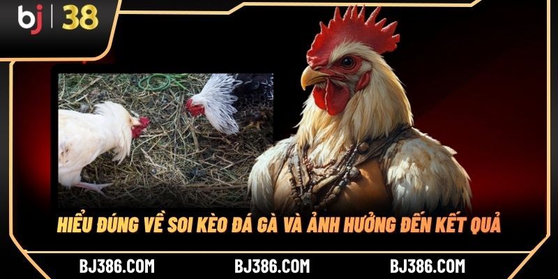 Hiểu đúng về soi kèo đá gà và ảnh hưởng đến kết quả