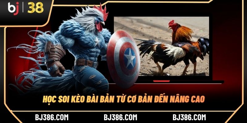 Học soi kèo bài bản từ cơ bản đến nâng cao