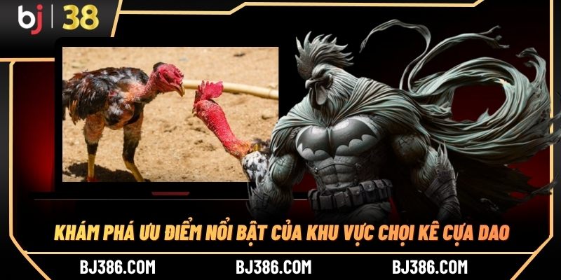 Khám phá ưu điểm nổi bật của khu vực chọi kê cựa dao
