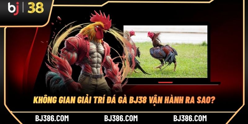 Không gian giải trí đá gà BJ38 vận hành ra sao? Không gian giải trí đá gà BJ38 vận hành ra sao?