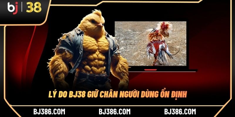 Lý do BJ38 giữ chân người dùng ổn định Lý do BJ38 giữ chân người dùng ổn định