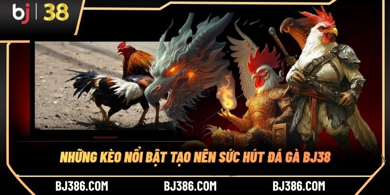 Những kèo nổi bật tạo nên sức hút đá gà BJ38 Những kèo nổi bật tạo nên sức hút đá gà BJ38