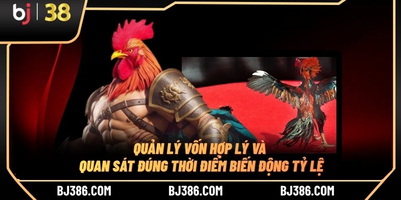 Quản lý vốn hợp lý và quan sát đúng thời điểm biến động tỷ lệ Quản lý vốn hợp lý và quan sát đúng thời điểm biến động tỷ lệ