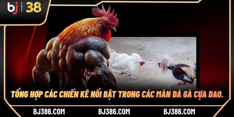 Tổng hợp các chiến kê nổi bật trong các màn đá gà cựa dao.