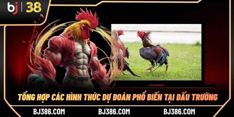 Tổng hợp các hình thức dự đoán phổ biến tại đấu trường