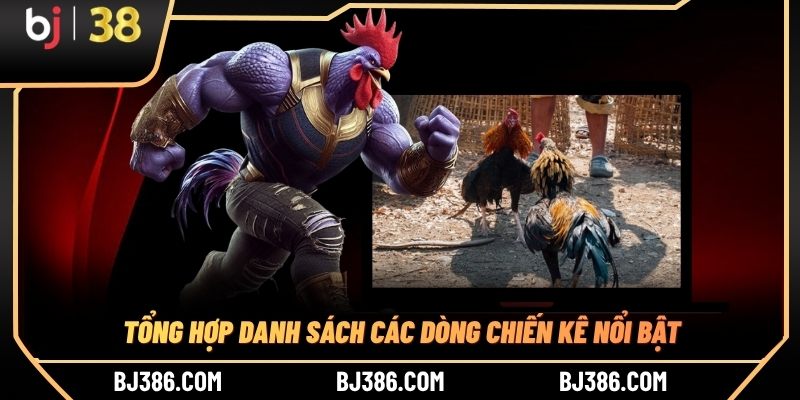 Tổng hợp danh sách các dòng chiến kê nổi bật