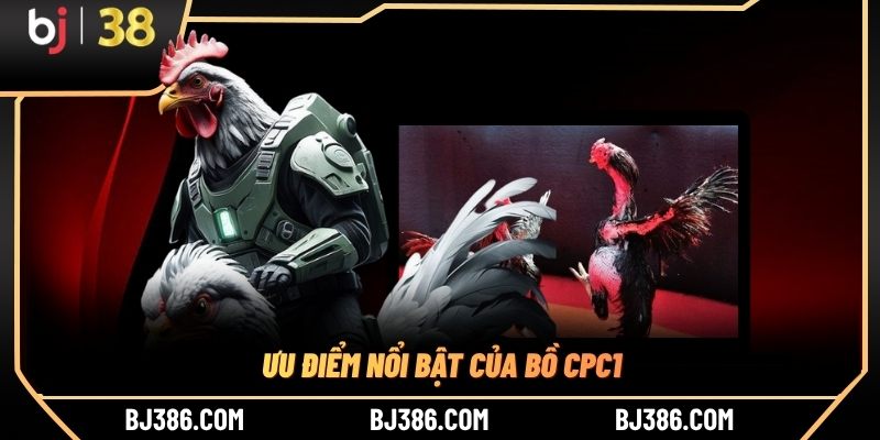Ưu điểm nổi bật của bồ CPC1 Ưu điểm nổi bật của bồ CPC1